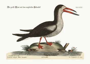 Het Snijwater, 1749-73